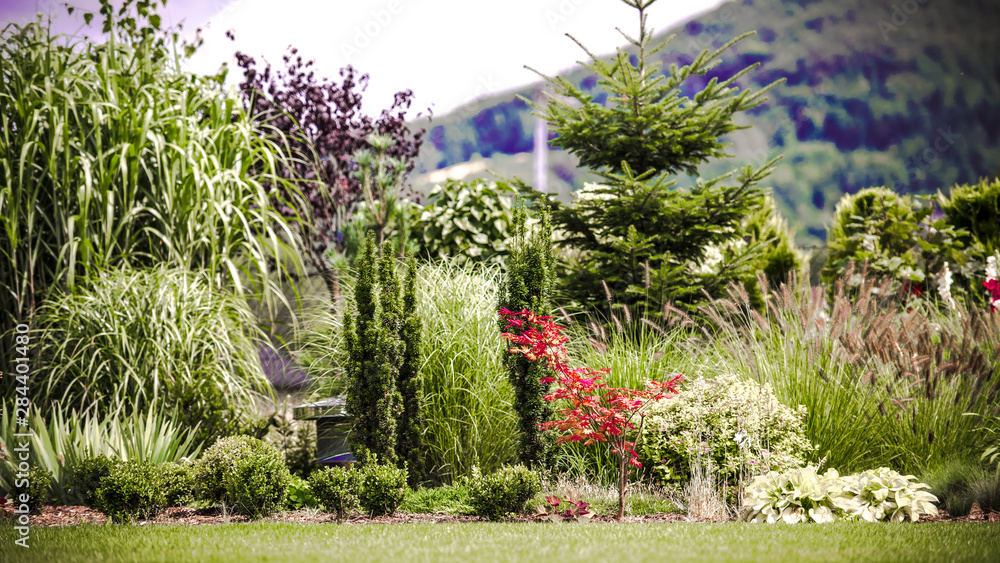Obraz premium Ogród z widokiem na góry