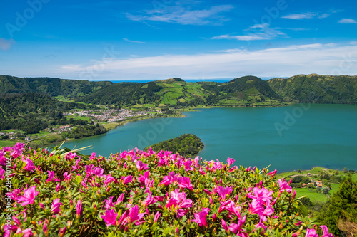 Beautiful view of pink flowers to background lake. Azores, Sao Miguel, Portugal
