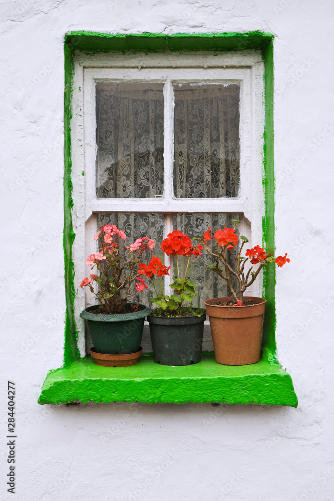 Ireland, Cashel. Potted flowers on a window sill. 