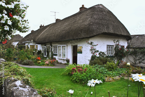 Ireland, Adare. Thatched-roof cottage surrounded by garden. 