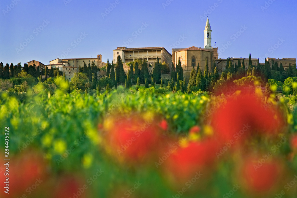 Italy, Pienza. Flowers and hilltop town. Credit as: Dennis Flaherty / Jaynes Gallery / DanitaDelimont. com Italy, Pienza. Flowers and hilltop town. Credit as: Dennis Flaherty / Jaynes Gallery / DanitaDelimont. com
