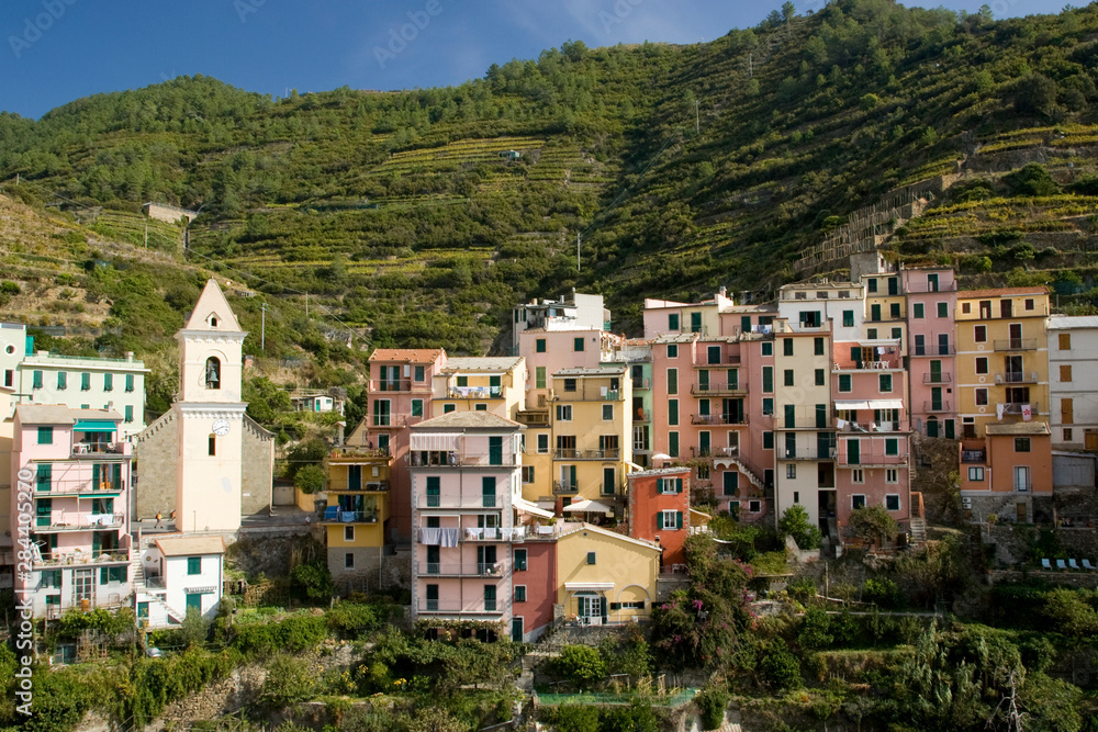 Italy, Cinque Terre, Manarola. Partial view of town and terraced vineyards.