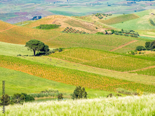 Alcamo countryside