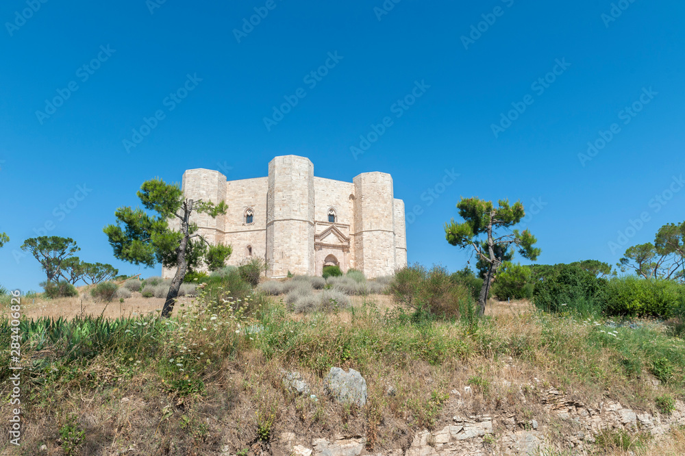 Fototapeta premium Castel del Monte, Andria, Italy, Europe