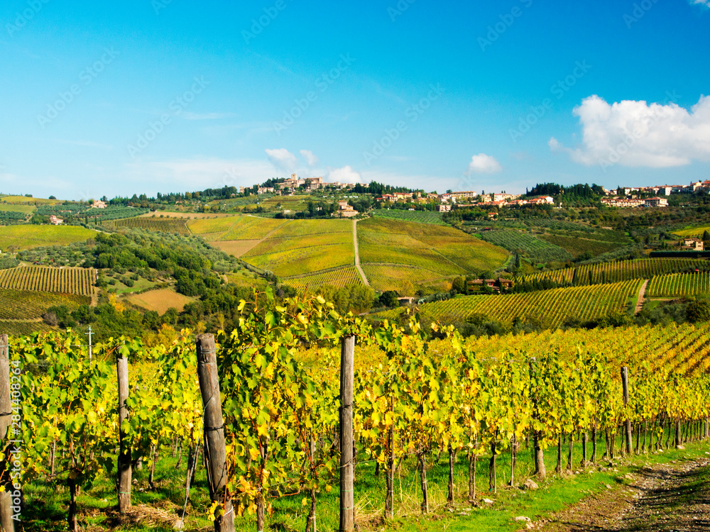 Italy, Tuscany, Chianti, Panzano, Autumn Vineyard with Bright Color Near Panzano