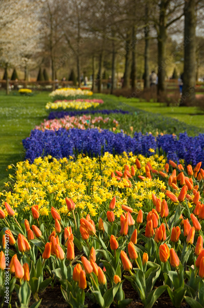 Netherlands (aka Holland), Lisse. Keukenhof Gardens, the world's largest bulb flower park.