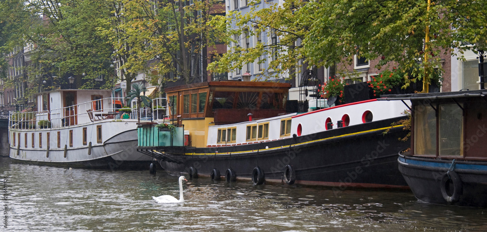 Colorful houseboast with a white swan swimming near Colorful houseboast with a white swan swimming near