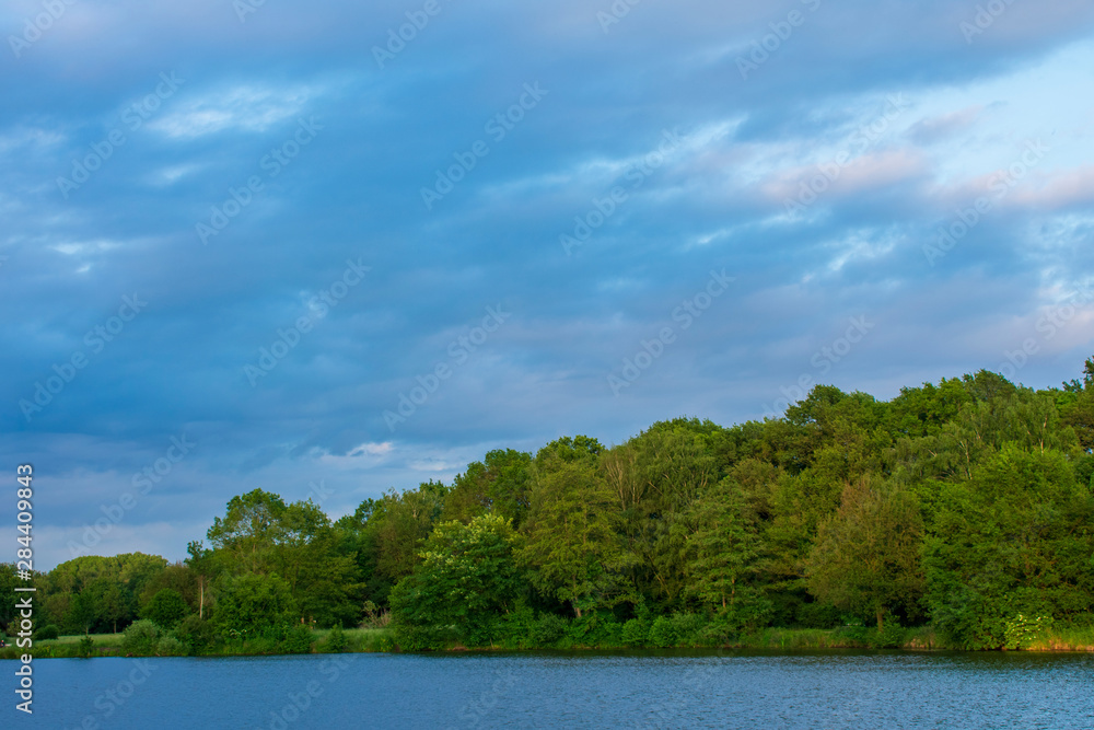 Wald am See, bei blauem Himmel. Standort: Deutschland, Nordrhein-Westfalen, Hoxfeld