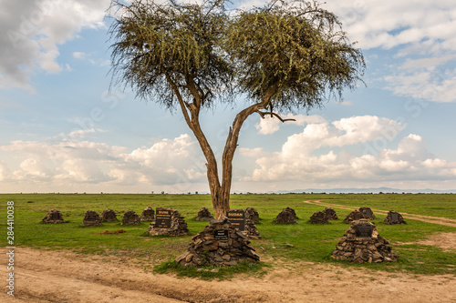 Rhino cemetery