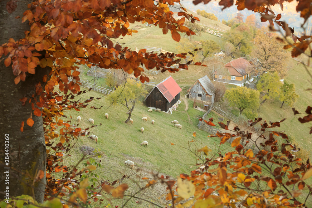 Φωτογραφία Romania, Transylvania, Carpathian Mountains, Magura, Piatra Craiului National Park