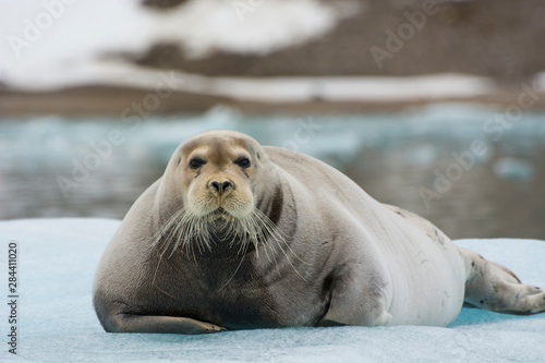 Fényképezés Norway