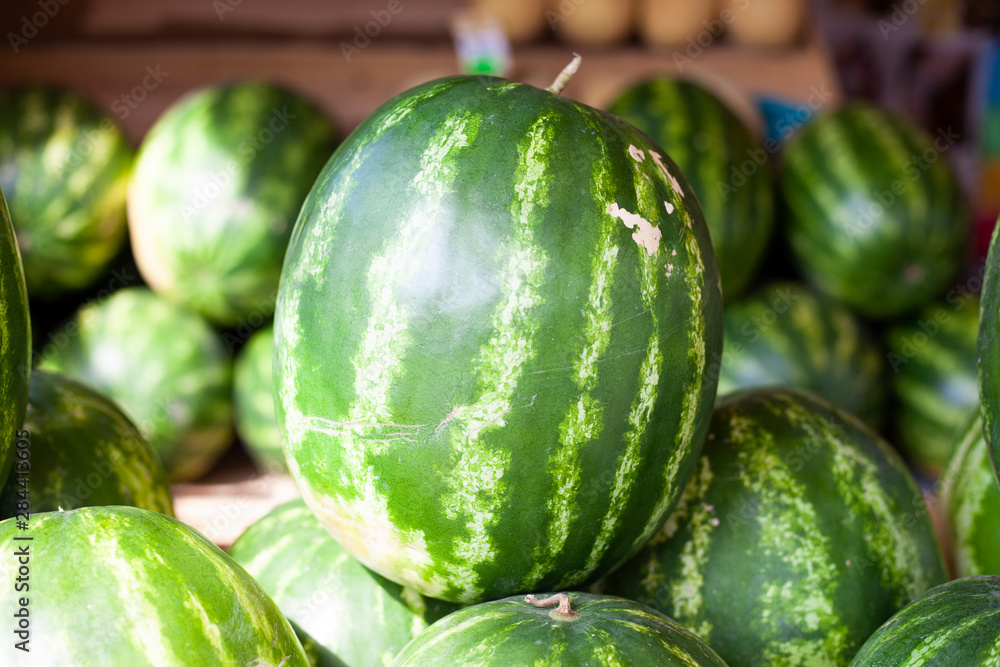 Watermelons in the market. Big juicy berry. Watermelon is green and