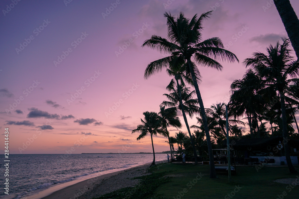 Obraz premium Palm trees silhouettes on tropical beach during colorful sunset.