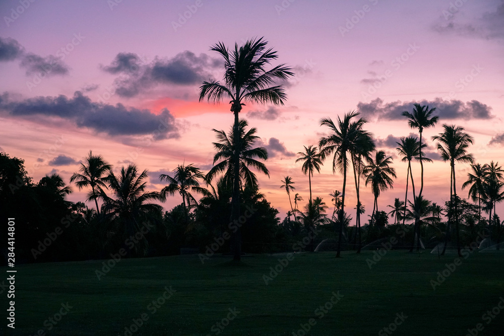 Palm trees silhouettes on tropical beach during colorful sunset.