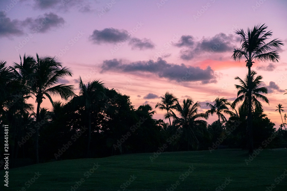 Palm trees silhouettes on tropical beach during colorful sunset. Palm trees silhouettes on tropical beach during colorful sunset.