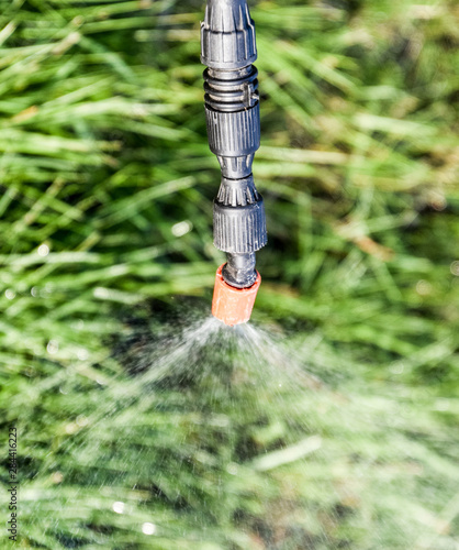 Fototapeta Naklejka Na Ścianę i Meble -  Spraying herbicide from the nozzle of the sprayer manual