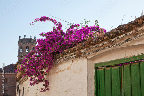 Spain, Jaen Province, Andalusia, Banos de la Encina. Bougainvillea growing over rooftop in the streets of Banos de la Encina and the bell tower of the San Mateo Church in the background. photo