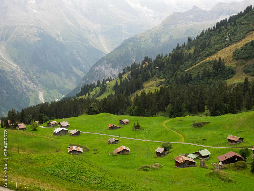 Switzerland, Bern Canton, Murren, alpine farming and pasture area