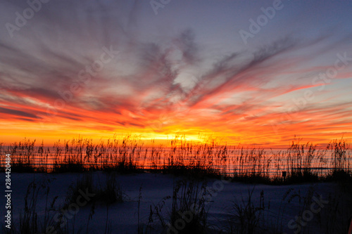 Beautiful sunset over the Gulf of Mexico with sea oats in the foreground.