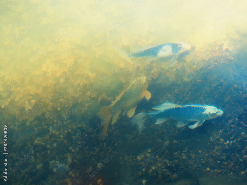 Fototapeta premium Fish at park pond illustration background hd