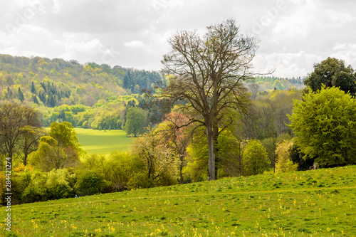 Obraz na plátne England, Hampshire. Highclere Castle. Castle grounds and gardens.