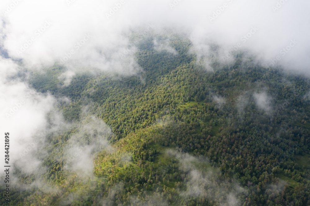 Scenic aerial view of green forest partly hidden by the clouds