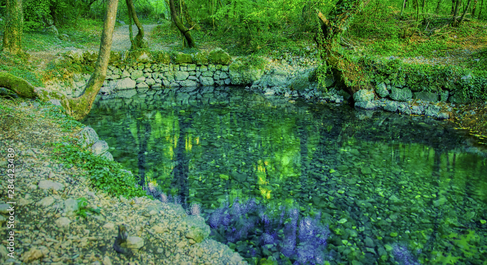 Source of the Grab stream, the tributary of the river Cetina, Croatia Source of the Grab stream, the tributary of the river Cetina, Croatia