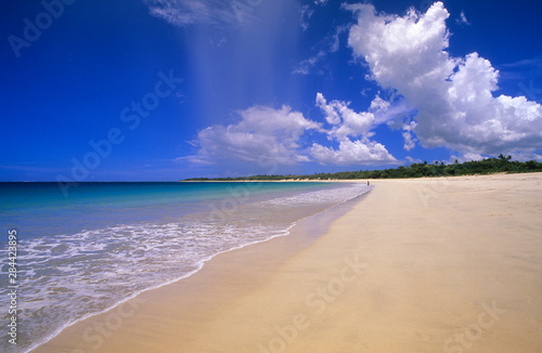 Beach, Viti Levu, Fiji photo