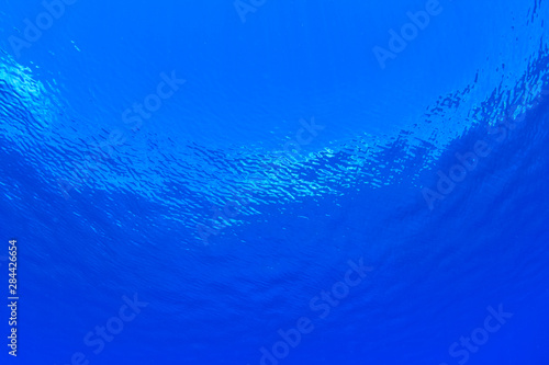 upward angle of calm ocean water, Palau, Micronesia, Rock Islands, World Heritage Site, Western Pacific