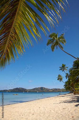 Fototapeta Naklejka Na Ścianę i Meble -  Beach and palm trees, Plantation Island Resort, Malolo Lailai Island, Mamanuca Islands, Fiji, South Pacific