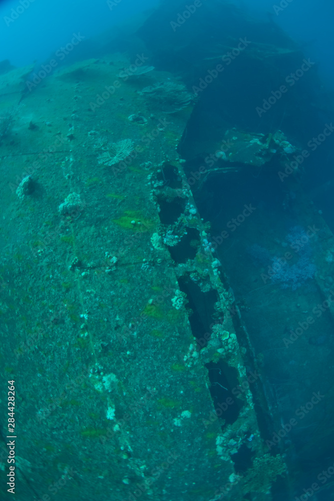 Fototapeta premium Japanese Teshio Maru Standard 1 V Freighter Wreck from WWII, Palau, Micronesia, Western Pacific