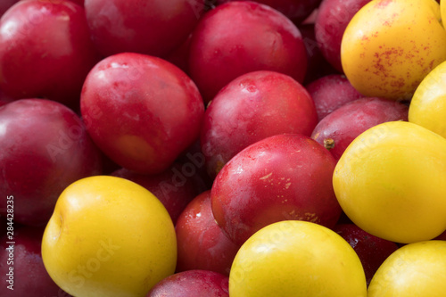 Yellow and red plums