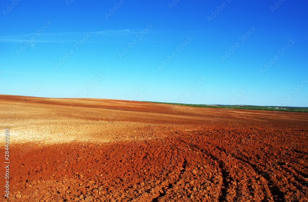 Plowed field in the Alentejo plain of Portugal