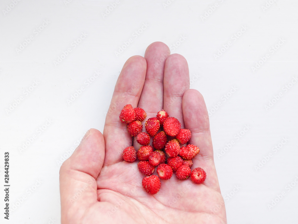 Strawberry in a hand on a white background. Little red strawberries in the hand. Strawberry in a hand on a white background. Top view, flat lay Strawberry in a hand on a white background. Little red strawberries in the hand. Strawberry in a hand on a white background. Top view, flat lay