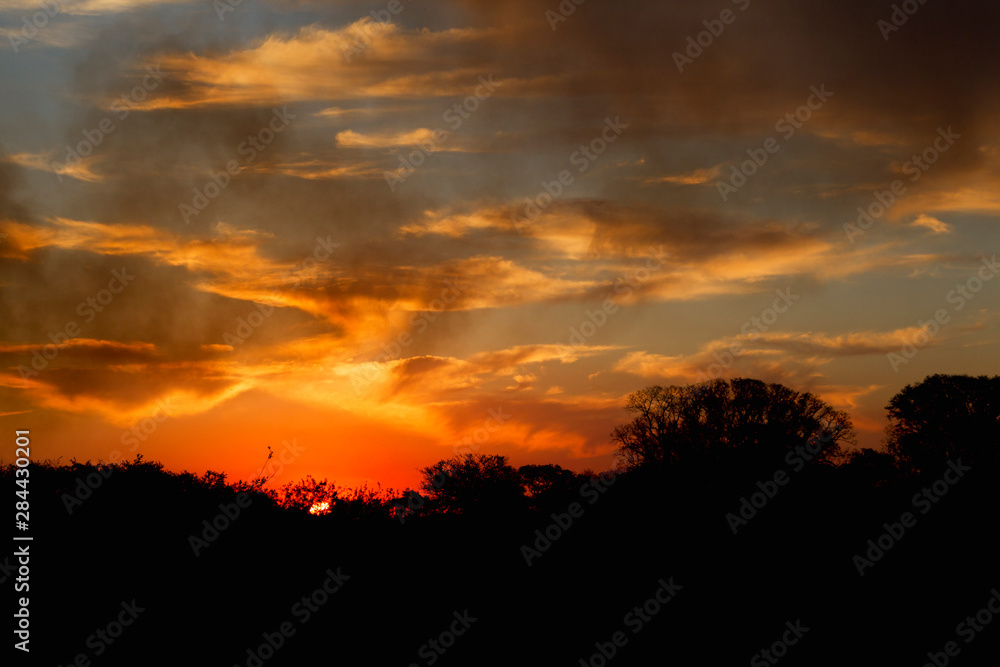 Ibera Marshes, Beautiful Sunset