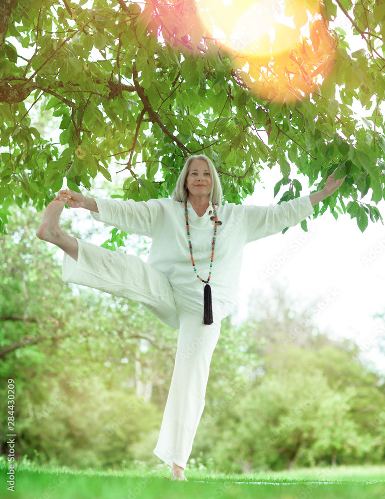 beautiful best age Senior woman with long grey hair doing yoga exercises outdoors beautiful best age Senior woman with long grey hair doing yoga exercises outdoors