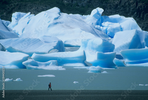 Chile, Patagonia, Torres del Paine National Park, hiker along beach, icebergs in Lago Grey.