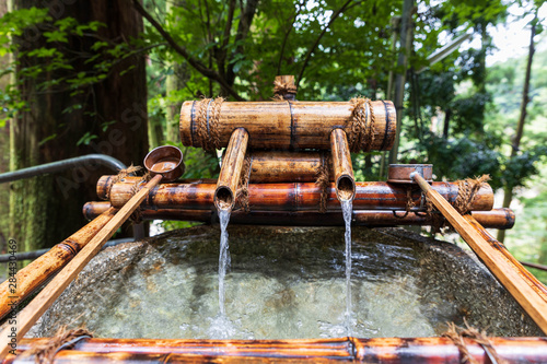 Water flows through bamboo into traditional wash basin at Japanse shrine in forest