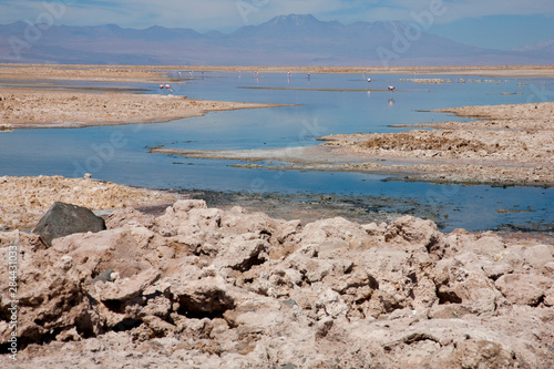 Located in the Atacama desert near the town of Tocanao, is the National Reserve of Atacama Salt lake. photo