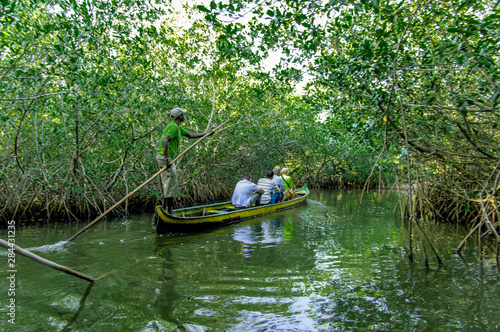 Принти на полотні Canoeing through the mangrove, manglare, swamps of La Cienaga de la Vorgin near historic Cartagena, Colombia