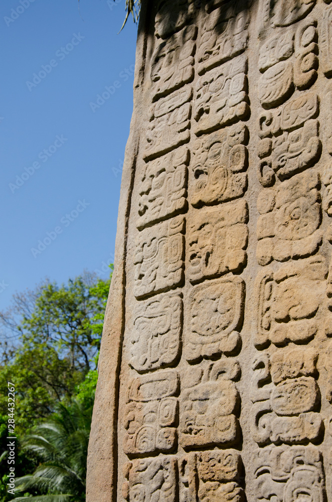 Guatemala, Department of Izabal, Quirigua National Park. Mayan archaeological site, Classic Period (AD 200-900). Great Plaza, detail of elaborately carved sandstone stelae.