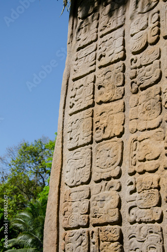 Guatemala, Department of Izabal, Quirigua National Park. Mayan archaeological site, Classic Period (AD 200-900). Great Plaza, detail of elaborately carved sandstone stelae.