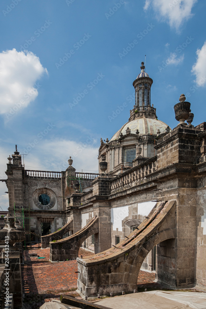 Mexico, Mexico City, Zocalo. The buttresses help support the superstructure of the Metropolitan Cathedral.