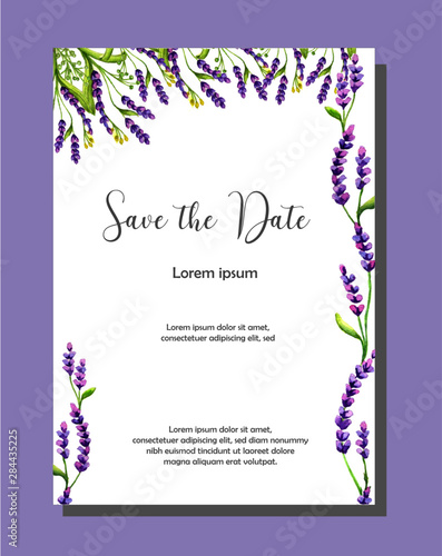 Tarjetas lavandas 4