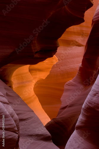 USA, Arizona, Navajo Tribal Lands. Reflected sunlights creates amber walls in Slot Canyon X.
