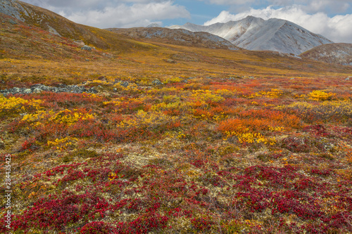 USA, Brooks Range, Gates of the Arctic National Preserve. Autumn color in tundra. Credit as: Don Paulson / Jaynes Gallery / DanitaDelimont.com