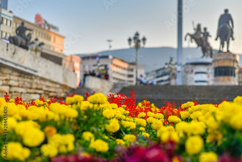 Close up of flower bed next to Stone Bridge,Skopje,North Macedonia.