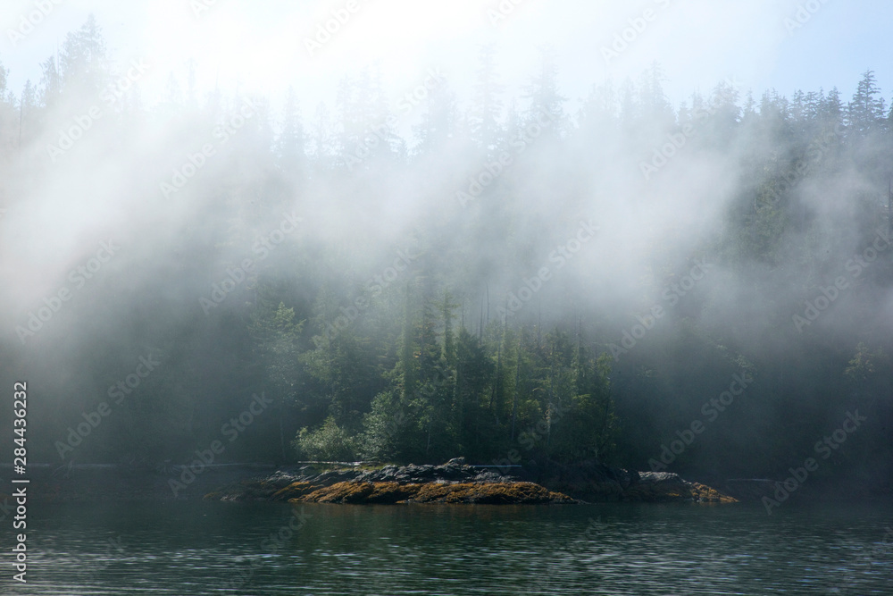 Fototapeta premium USA, Alaska. Outside of Ketchikan in Southeastern Alaska.