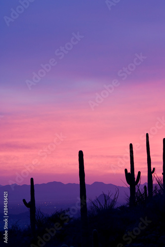 USA, Arizona, Tucson. Purple sunset on Avra Valley as seen from Tortolita Mountains. 