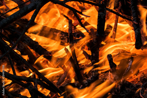Close-up of burning branches, Alabama